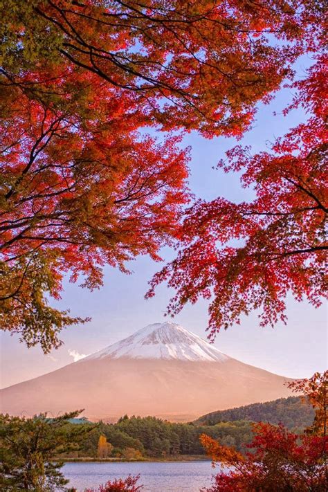 Mtfuji In Autumnjapan Beautiful World Beautiful Places Beautiful