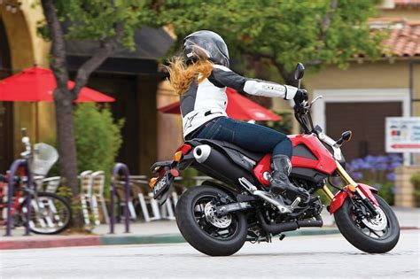 It is not an absolute beginner bike, but can be enjoyed by riders with a variety of experience. Pin de Meredith Anderson em Garage | Motos