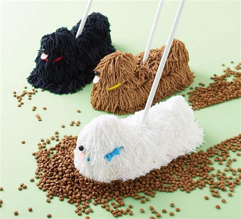 A Mop That Looks Like One Of Those Dogs That Look Like A Mop