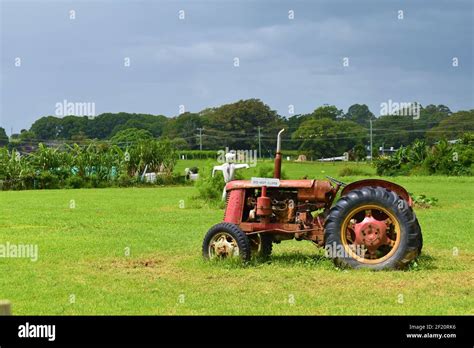 Old Red Tractor On Field Stock Photo Alamy