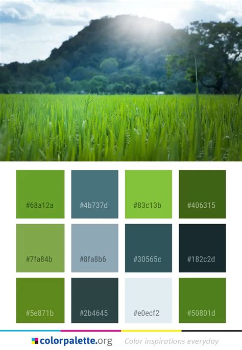 Grassland Green Paddy Field Color Palette