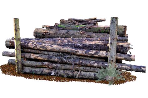 sell my logs washington, Forestry companies washington, Forestry Consultants Washington visit at ...