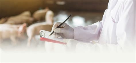 În românia, rata de vaccinare a copiilor care au mai puțin de 12 luni a scăzut sub 81%. Carmistin | Medic veterinar - Carmistin