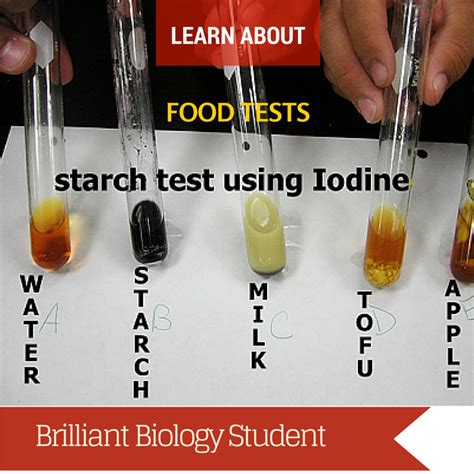Biology Lab Report Food Tests Brilliant Biology Student