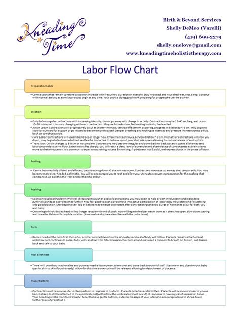 Cervix Flow Chart Midwife Field Guide Nursing School Birth Nurse