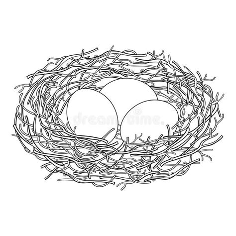 Egg Nest Bird Nest Outline Drawings Bird Drawings Outline Pictures