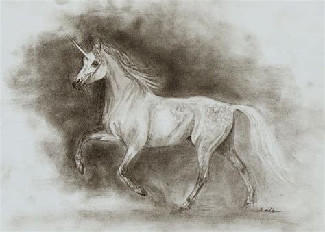 Speed drawing - White unicorn by JulieBales on DeviantArt