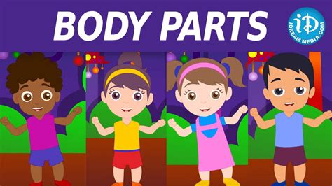 Body Parts Song For Kids Nursery Rhymes Body Parts