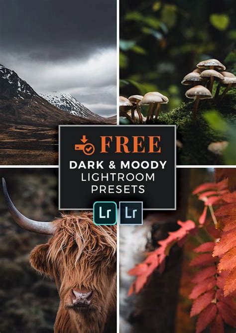 This is dark moody premium presets,this is viral on youtube but there is no free.no tansion i'm here you download this presets absolutely free.this is lightroom mobile presets, download this presets and make your viral photo on instagram. Download FREE Lightroom presets for dark and moody ...