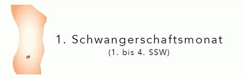 We did not find results for: Schwangerschaftsmonate im Überblick » Entwicklung von Baby ...