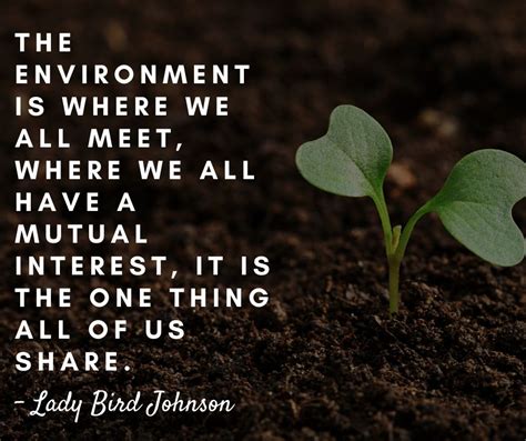 29 World Environment Day Quotes Images And Slogans 2021