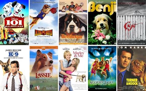 10 Greatest Dog Movies Amongmen