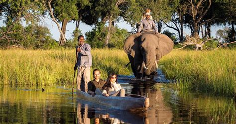 Okavango Delta Safari In Botswana Information For Your Botswana Holiday