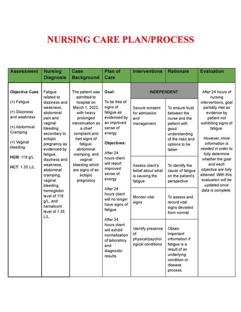 Nursing Ncp Ectopic Pregnancy Nursing Care Plan Process Assessment
