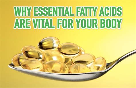 Why Essential Fatty Acids Are Vital For Your Body Natures Branch