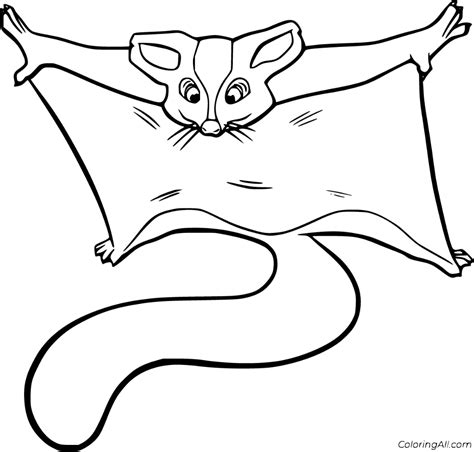 12 Free Printable Sugar Glider Coloring Pages In Vector Format Easy To