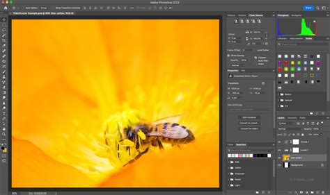 Adobe Photoshop 2023 Overview And Supported File Types