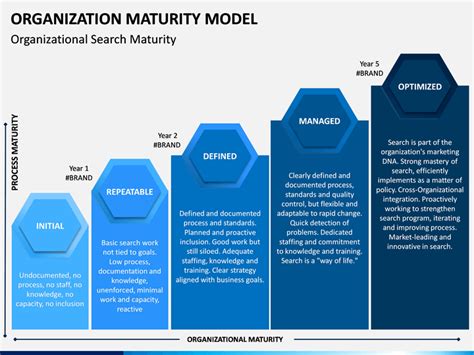 Organization Maturity Model Powerpoint Template Sketchbubble My XXX