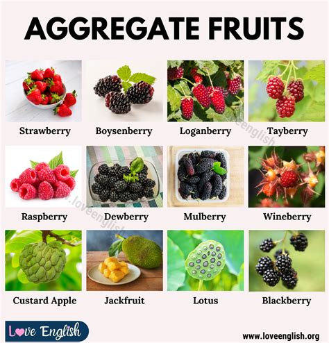 Aggregate Fruit Names List Of 20 Aggregate Fruits With Their