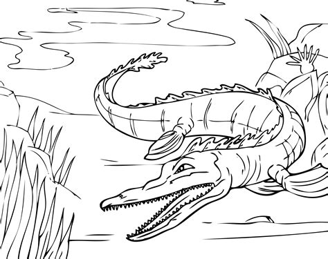 Alligator Coloring Pages Printable Printable World Holiday