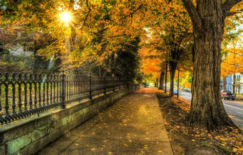 Wallpaper Autumn Leaves Trees Nature City The City House Street
