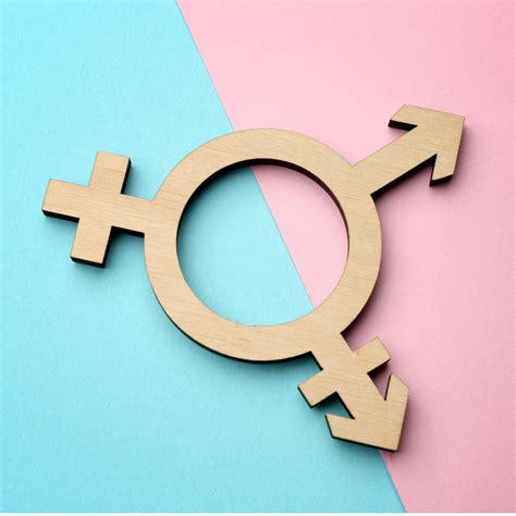 guidelines for sex gender analysis how are we doing in europe genderactionplus