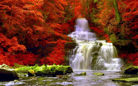 Autumn Forest Waterfalls 156347 High Quality And Resolution 4280x2675