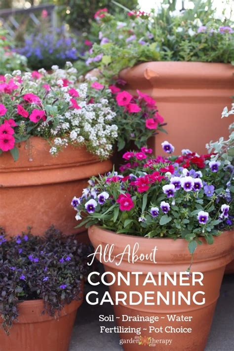 All About Container Gardening The Steps To Grow Successful Container