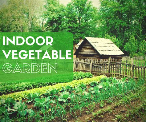 Indoor Vegetable Gardening 37 Edibles You Can Grow