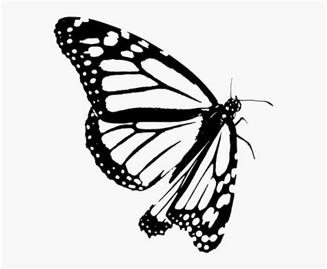 Monarch Butterfly Outline
