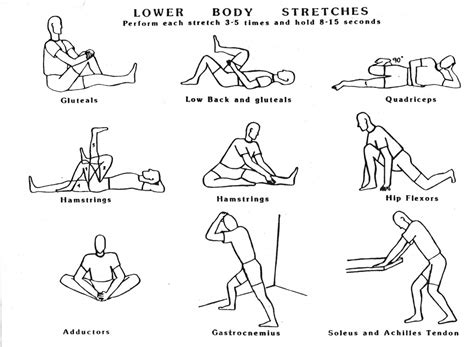 However, a lower body workout can also be great for strengthening your hips, glutes, and core, as well as stabilizing your knee and ankle joints 1. Pillosophy: Pillosophy of the Day ♥ Stretch that Body