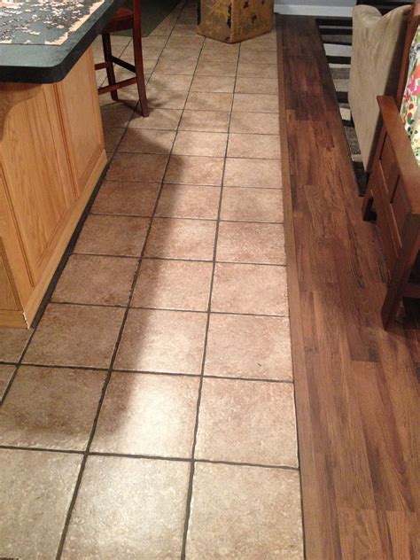 Smooth Transitions Laminate Floor To Tile Home Tile Ideas
