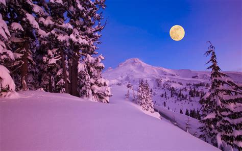 Free Download Wallpaper Winter Snow Night Moon Mountains
