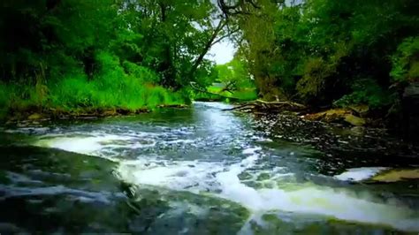 Just Relax Natural Soothing River Nature In Hd