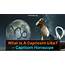 What Is A Capricorn Like  Horoscope CMCToday Unlock The