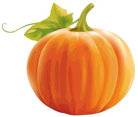 Calabazas Clipart 20 Free Cliparts Download Images On Clipground 2021