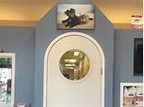 Pictures of Park Slope Veterinary Clinic