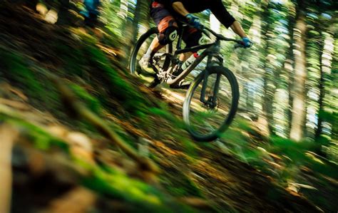 Person Riding Hardtail Bike Beside Trees At Daytime Photo Free Speed