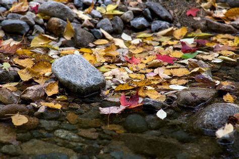 Autumn Fall Foliage Leaves Nature Rocks Stream Waterfall 4k