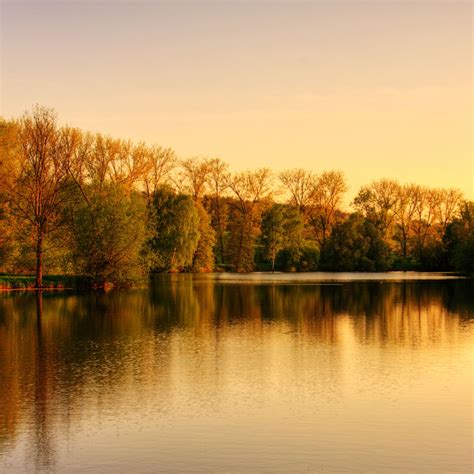 Park Lake Autumn Ipad Air Wallpapers Free Download