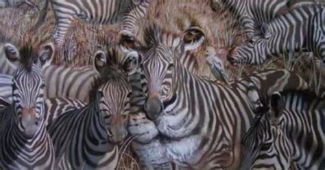 The First Animal You Spot Reveals Secrets About Your Personality