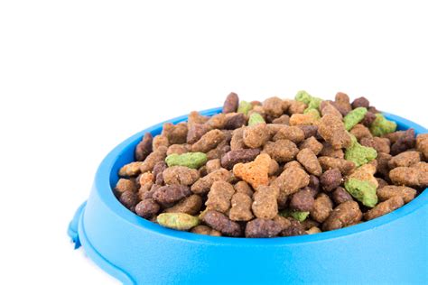 Using purina's deep knowledge of pet food nutrition and info about your dog or cat, such as breed, weight, and activity level, dani and the pet food finder will recommend the best purina products for. Dry Cat Food Free Stock Photo - Public Domain Pictures