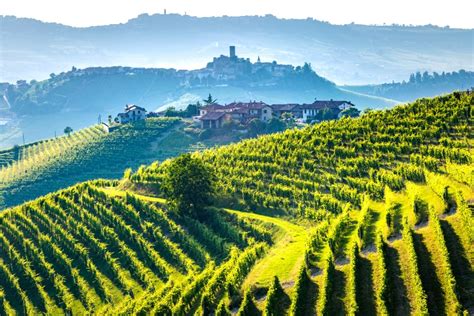 12 Best Tuscany Wine Tours From Florence Siena Rome