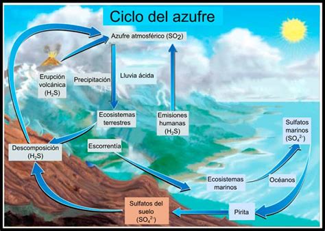 ¿cuál Es El Ciclo Del Azufre O Ciclo Biogeoquímico Del Azufre ️ Gt