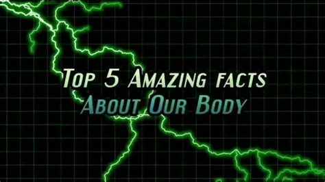 Top 5 Amazing Facts About Our Human Body Youtube