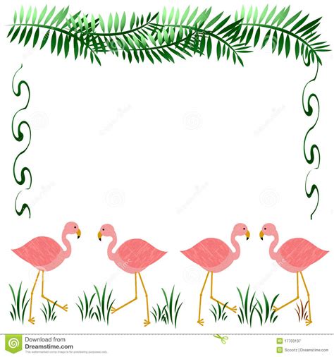Pink Flamingo Frame Royalty Free Stock Photography Image