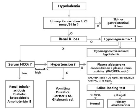 The Algorithm Used To Choose Hypokalemia Treatment Hr Hour Pac