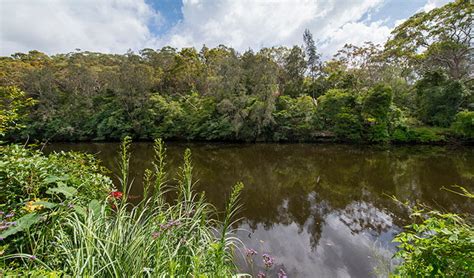 Great North Walk Lane Cove National Park Learn More Nsw National