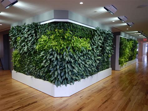 Office Biowalls Interior Plants Water Walls Vertical Garden