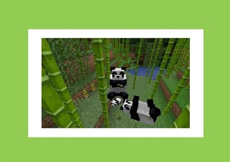 Los cactus crecen sin supervisión, y un jugador no tiene que buscar en el desierto por más materiales para extender la pared. ¿Dónde y como Encontrar Bambú en Minecraft y para que ...